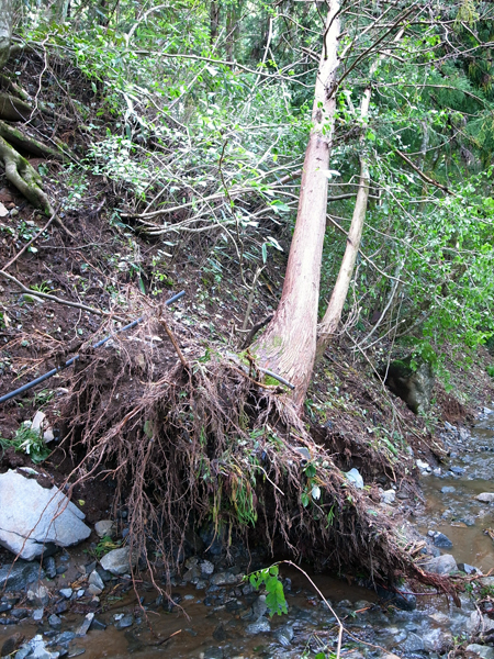 c0048265_1757190.jpg