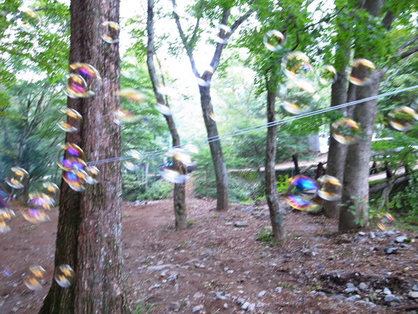 c0048265_2064962.jpg