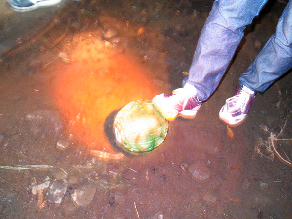 c0048265_21355815.jpg
