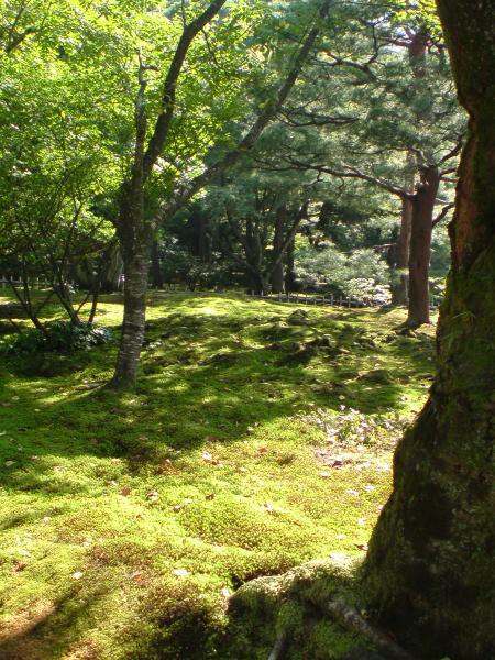 e0153367_1750592.jpg