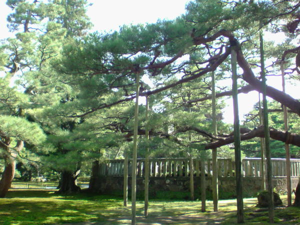 e0153367_17513251.jpg