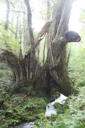 c0117570_18385711.jpg