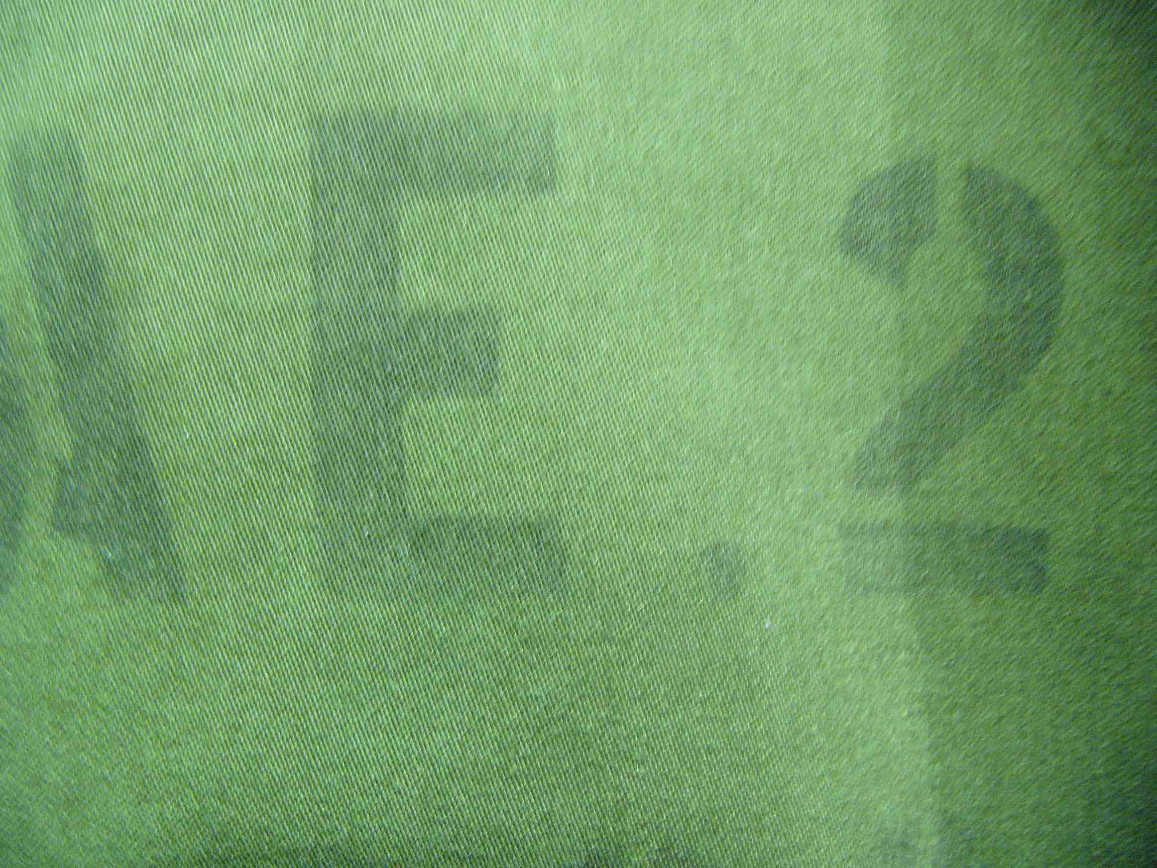 b0166471_20203096.jpg