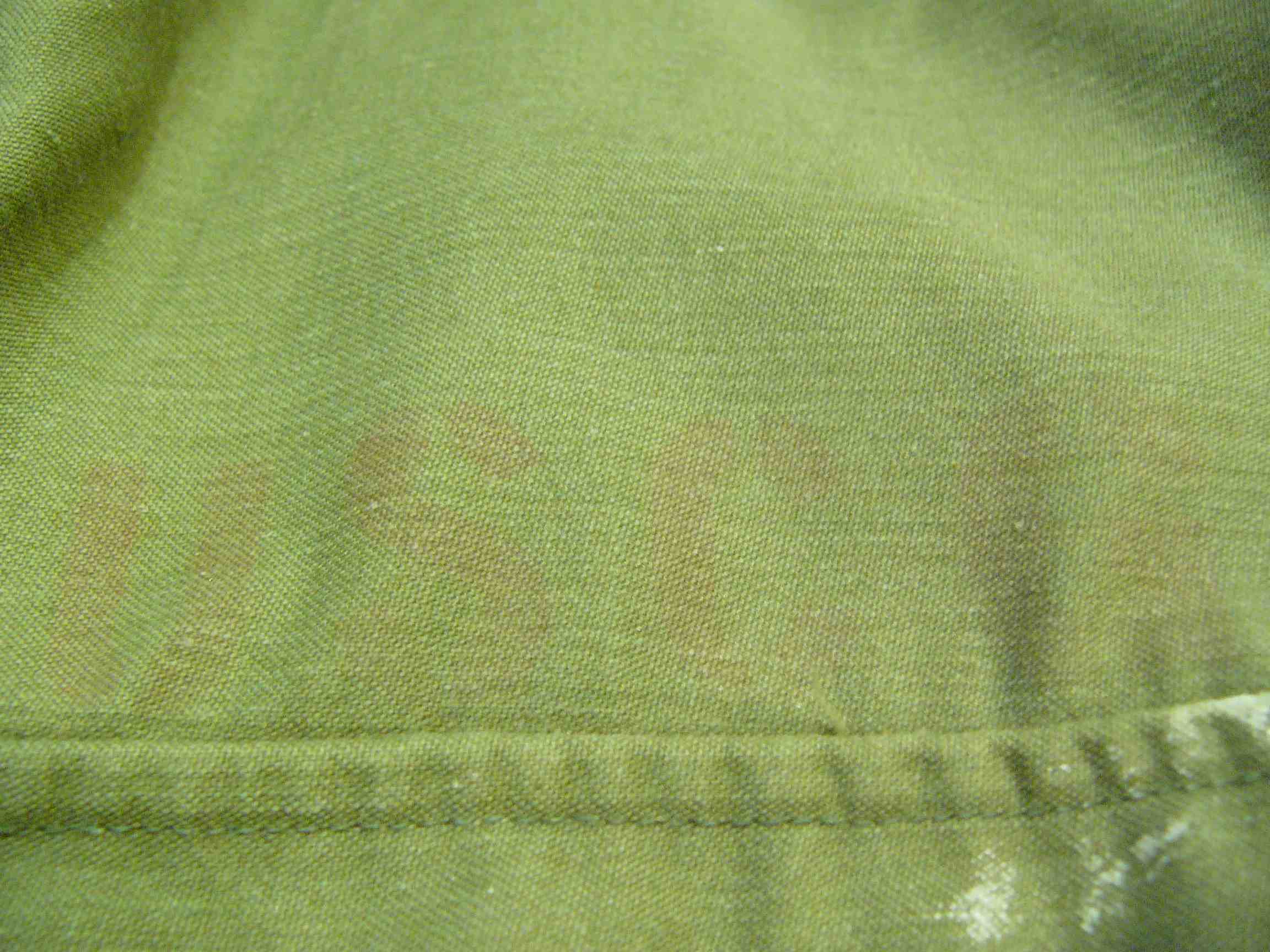 b0166471_20222265.jpg