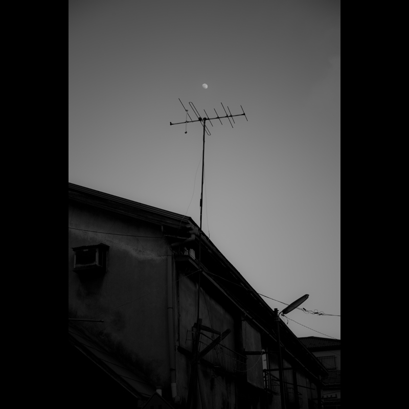 c0118173_950577.jpg