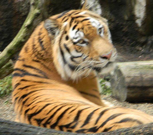 b0014576_6101354.jpg