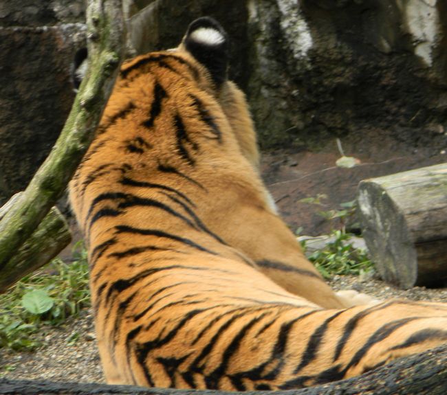 b0014576_610419.jpg