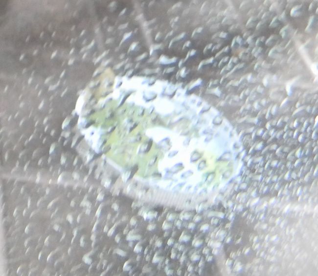 b0014576_69623.jpg