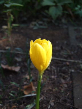 f0039281_22335.jpg