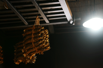 b0090883_19301489.gif