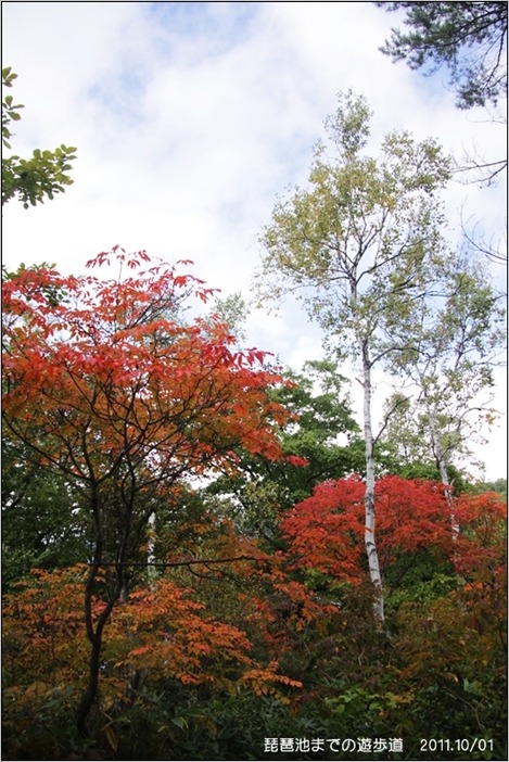 e0027083_18424723.jpg