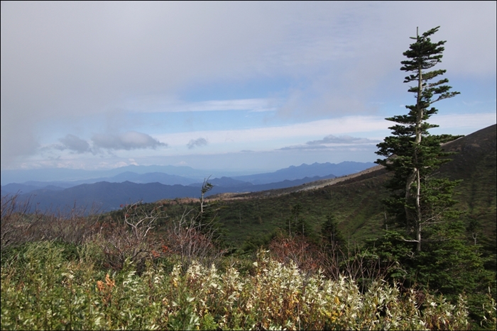 e0027083_19385077.jpg