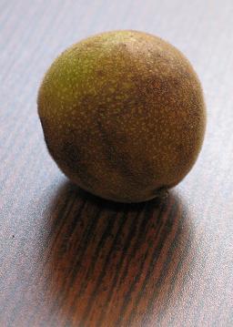 e0130185_1301052.jpg