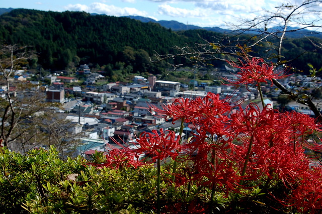 b0203588_18383177.jpg