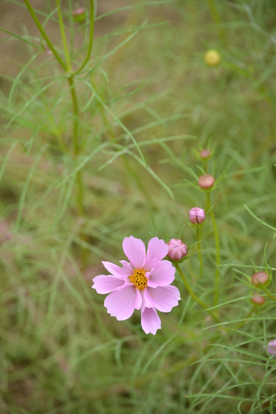 e0246788_546810.jpg