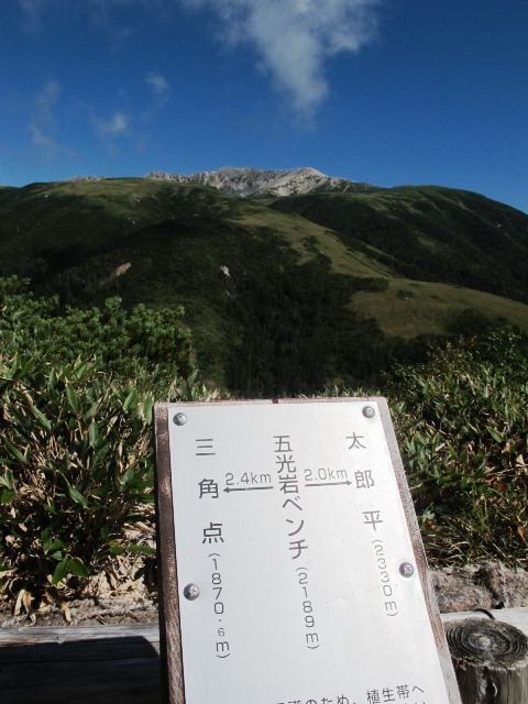 c0171790_1534426.jpg