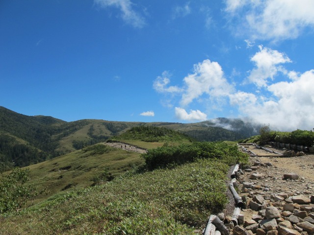 c0171790_1544699.jpg