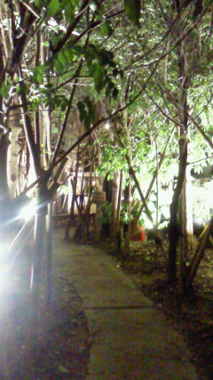 e0240190_1752645.jpg