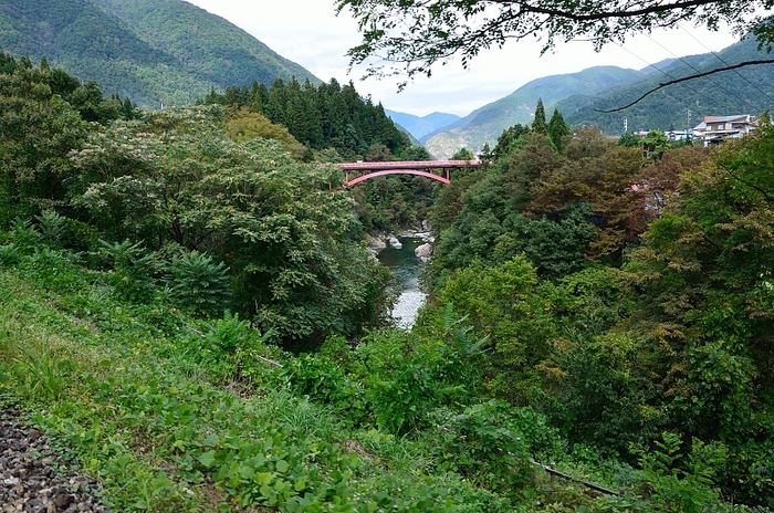 d0218192_895960.jpg