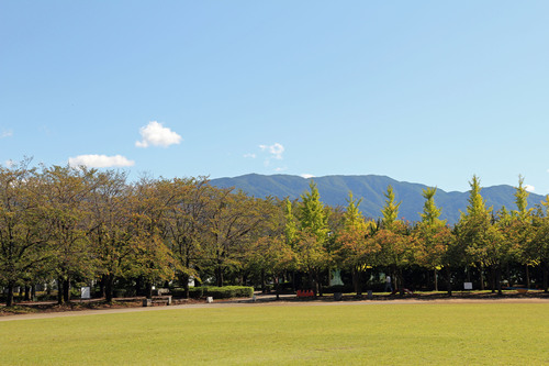 b0151893_18123686.jpg