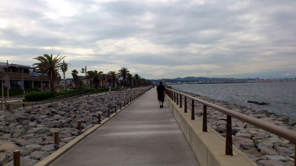 d0080094_901766.jpg