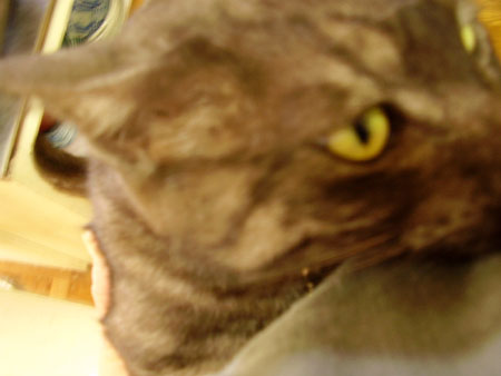 c0206596_1055075.jpg