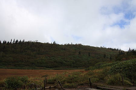 b0115497_5312468.jpg