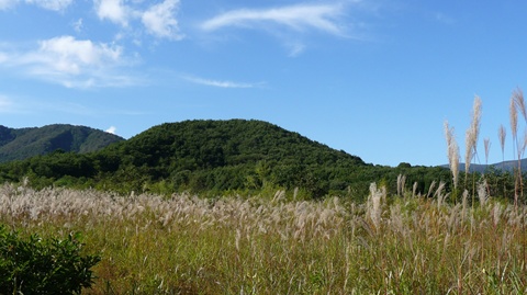 a0138198_163890.jpg
