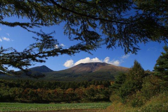 f0227200_23335150.jpg