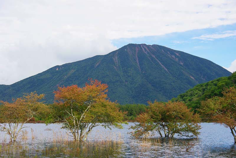 a0184303_204834100.jpg