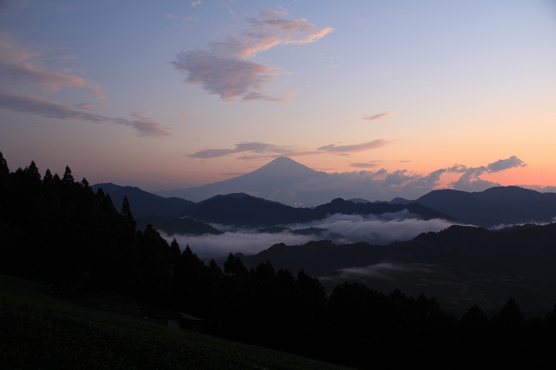 a0188405_11503951.jpg