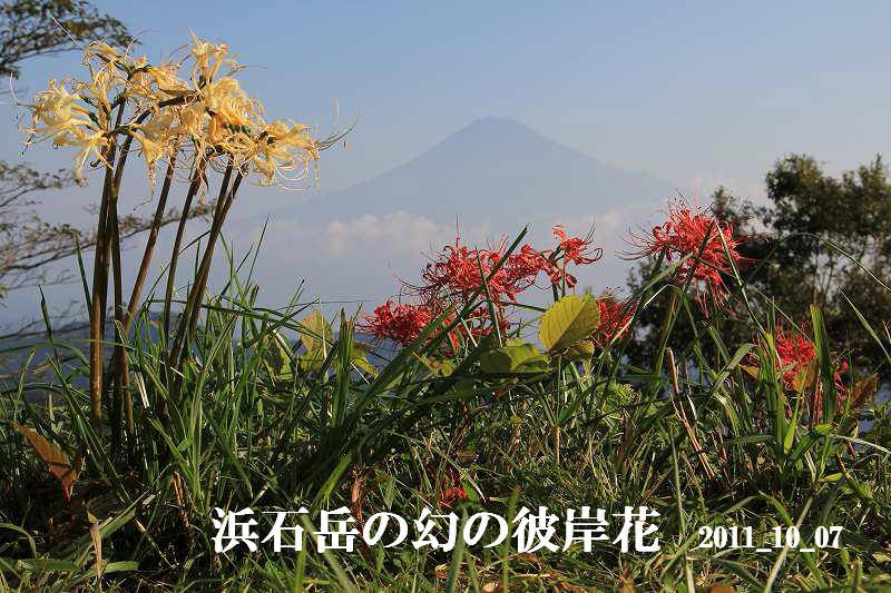a0188405_12423978.jpg