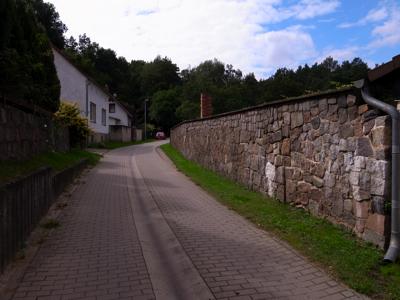 e0038811_505657.jpg