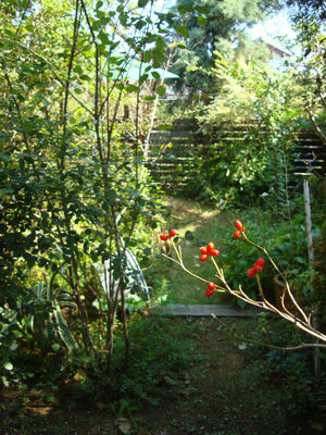 e0233111_1558628.jpg