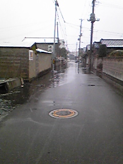 b0007213_17524175.jpg
