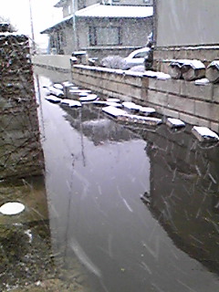 b0007213_17532476.jpg