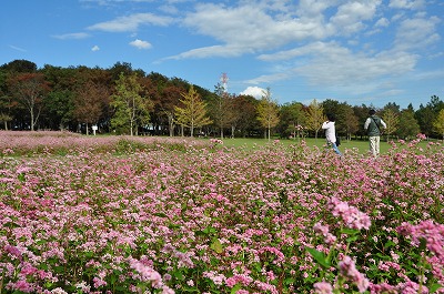 d0070920_13102742.jpg