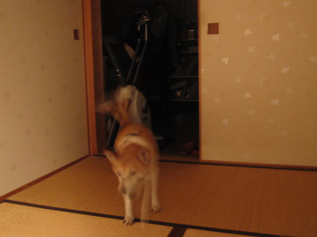 e0191826_23404679.jpg