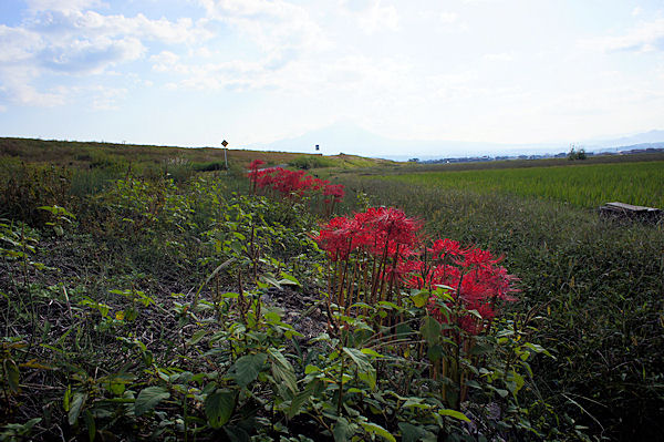 f0007926_12254044.jpg