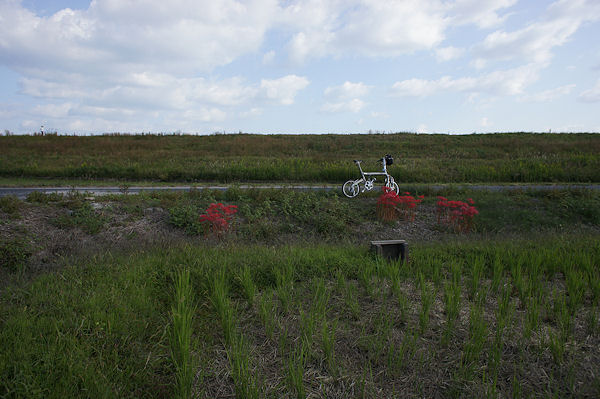 f0007926_1226372.jpg
