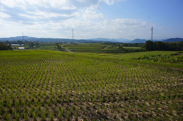 f0007926_12295893.jpg