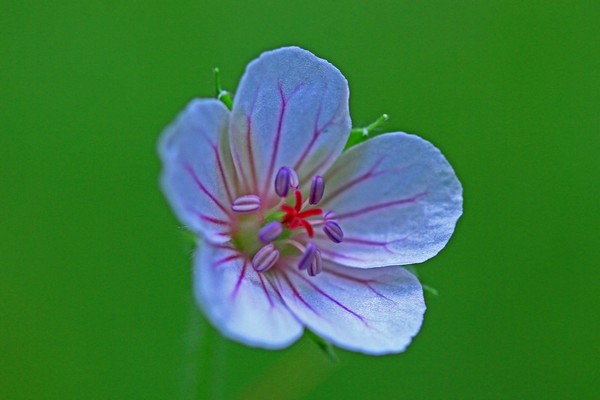 c0104227_836160.jpg