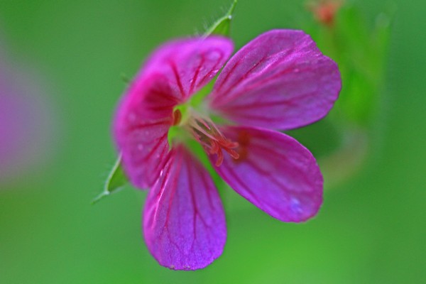c0104227_8362270.jpg