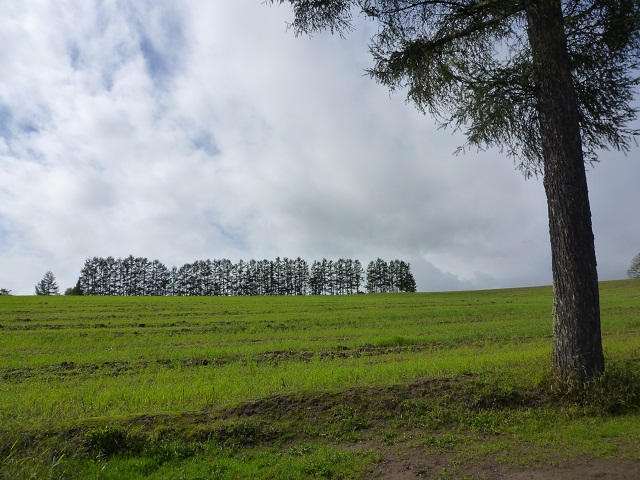 a0024829_84359.jpg