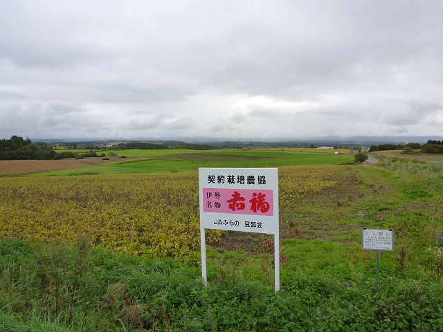 a0024829_844947.jpg