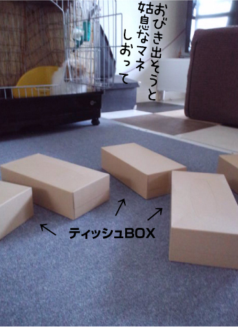 e0242030_18332213.jpg