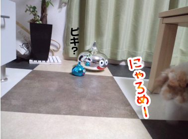 e0242030_1917321.jpg