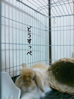 e0242030_8532151.jpg