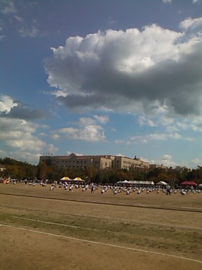 c0100534_88984.jpg