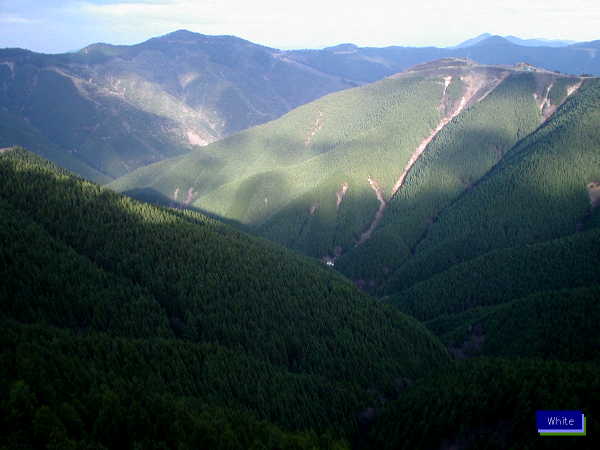 c0227134_23313495.jpg
